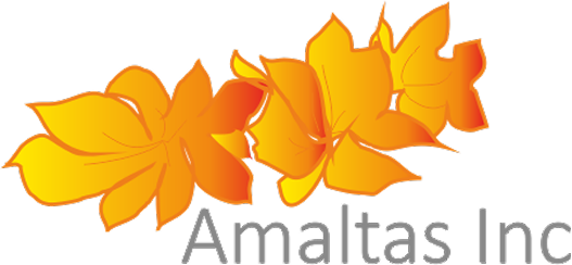 default-logo